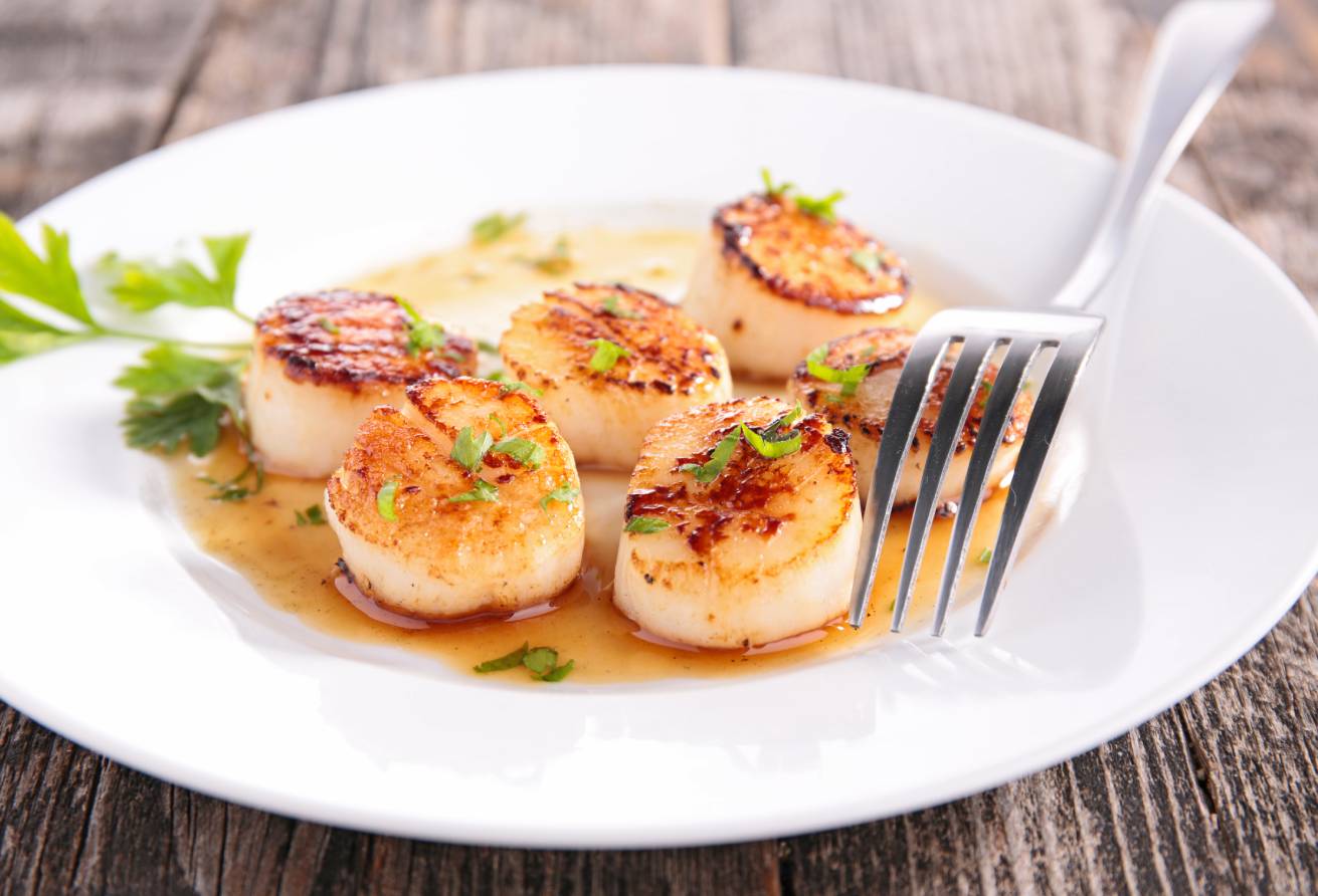 Ocean Delight The Health Benefits Of Scallops